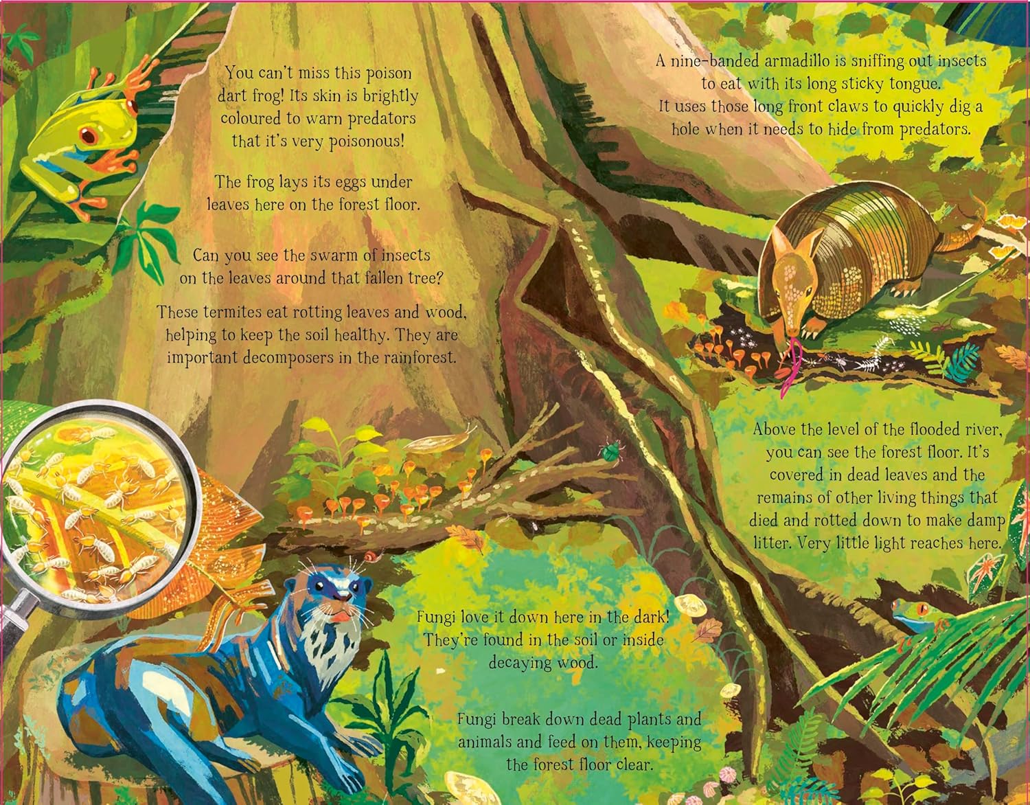 The Forest That Grows Around Me by Charlotte Guillain