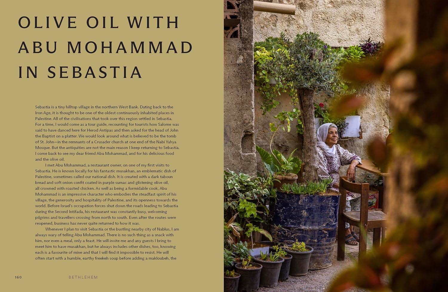 Bethlehem: A Celebration Of Palestinian Food by Kattan Fadi