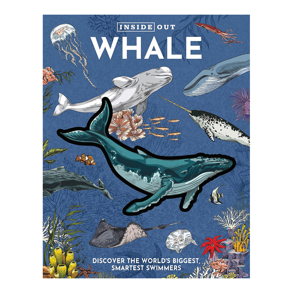 Inside Out: Whale