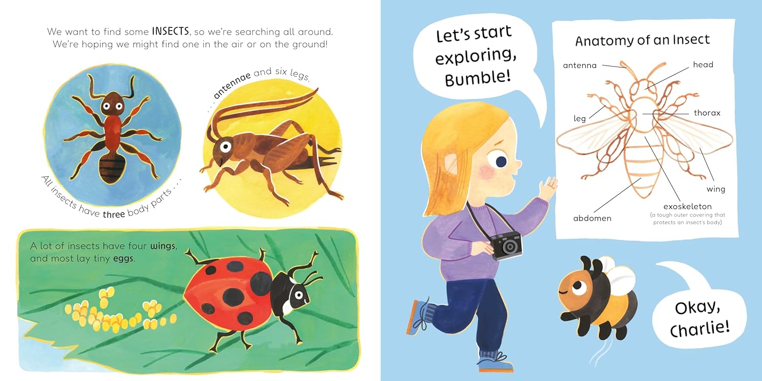 Don't Call Me an Insect! by Charlotte Guillain