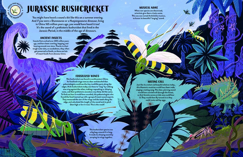 Sound Explorers: Dinosaurs by Anna Claybourne