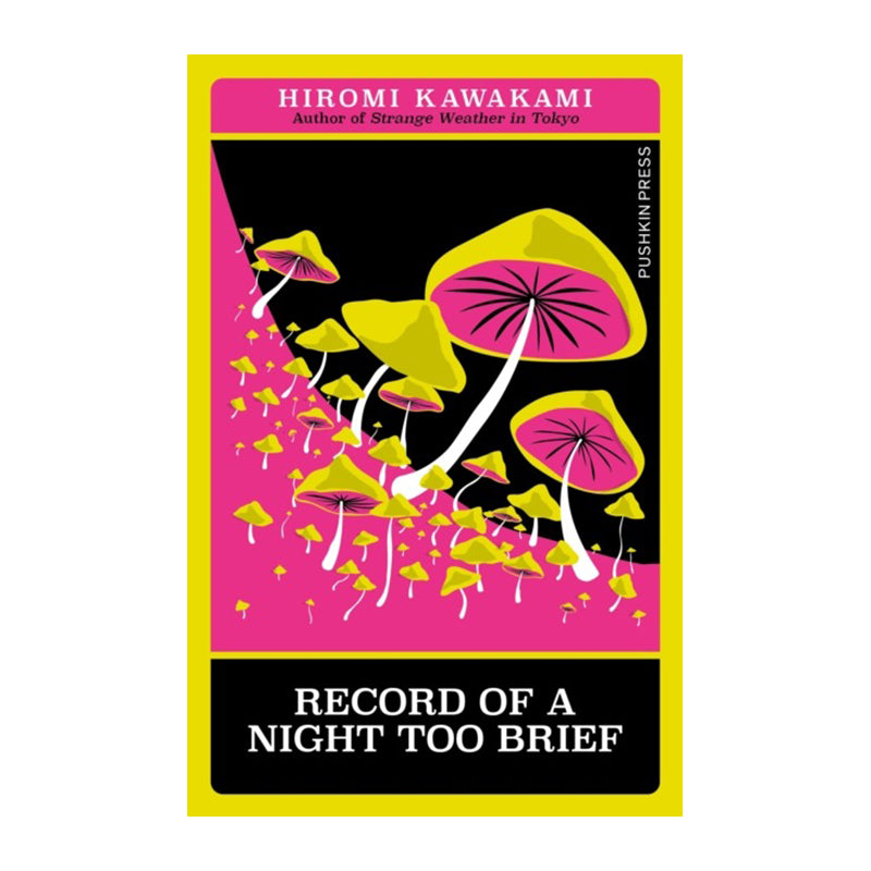 Record of a Night Too Brief by Hiromi Kawakami