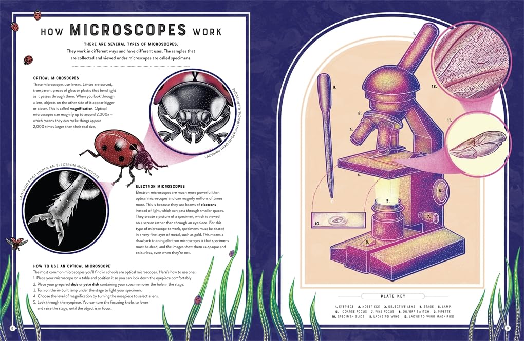 Micro The Wild Wonders of Microscopic Life by Jennifer N R Smith