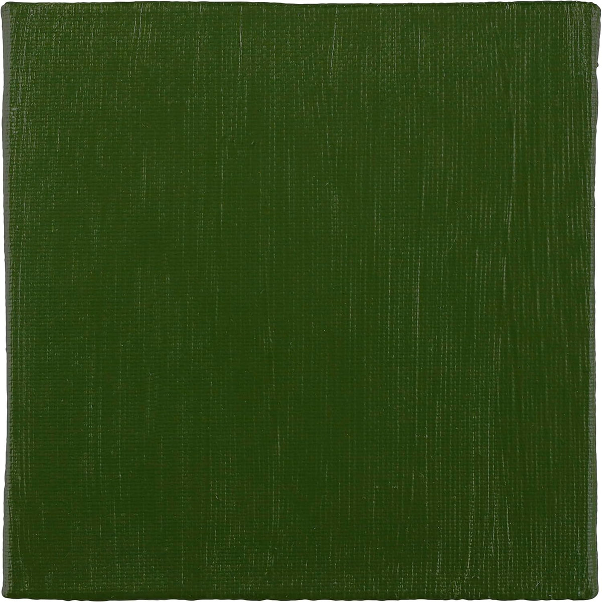 BLOCKX Artist Acrylic 120ml Green Earth (632)