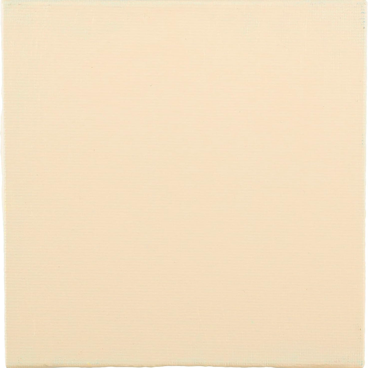 BLOCKX Artist Acrylic 120ml Ivory (015)