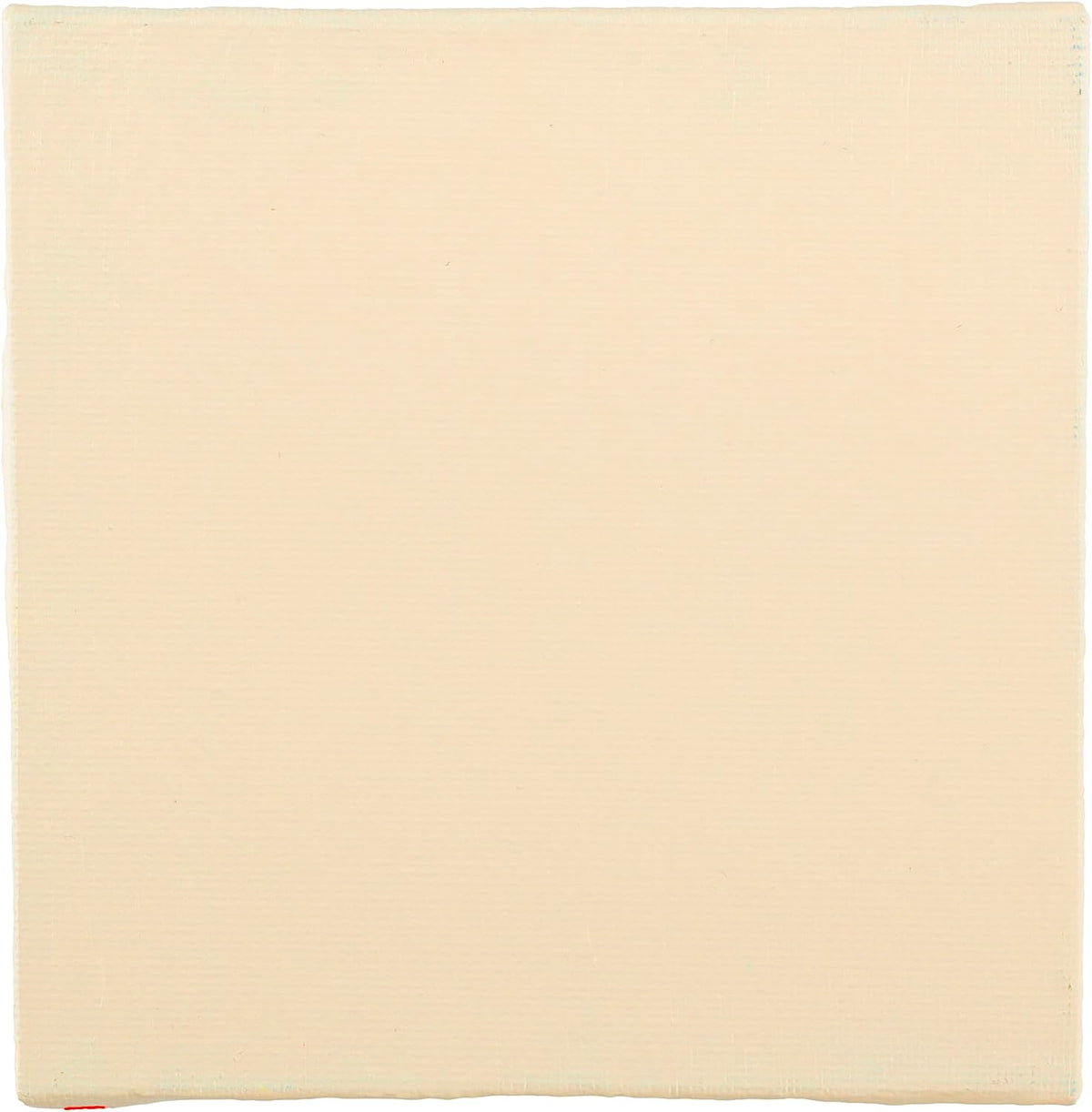 BLOCKX Artist Acrylic 120ml Ivory (015)