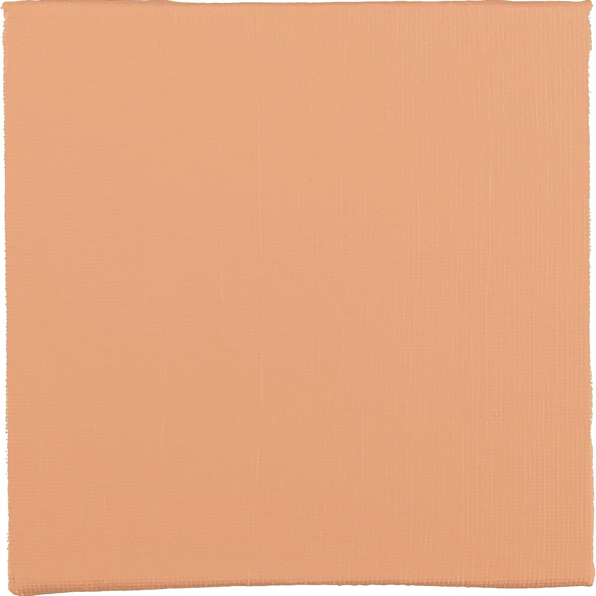BLOCKX Artist Acrylic 120ml Pink Flesh (425)