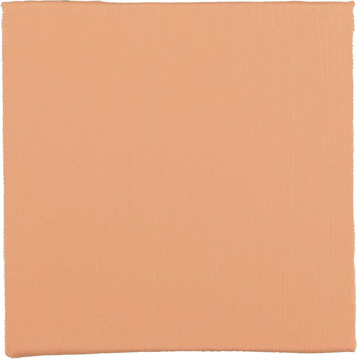 BLOCKX Artist Acrylic 120ml Pink Flesh (425)
