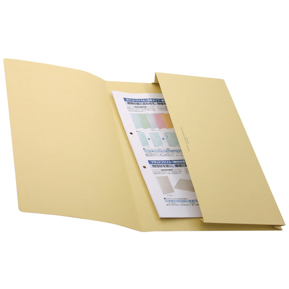 CBE Pocket File 211 F/C-Paper 5Cols
