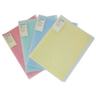 CBE Clear Holder PT20 A4-PP Colourful 20P 4Cols