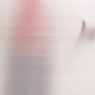 D ARTE PP Impra Board 680x766x3mm 07 TRANSPARENT