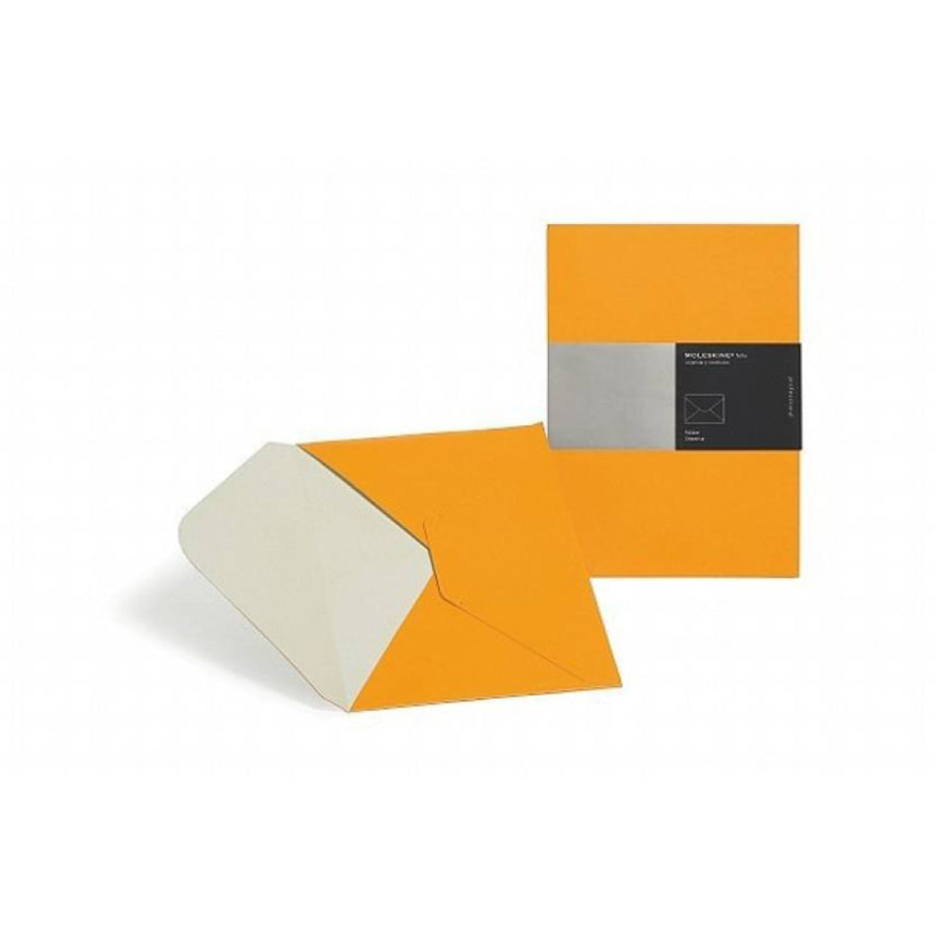 MOLESKINE Pro Folder A4 Orange