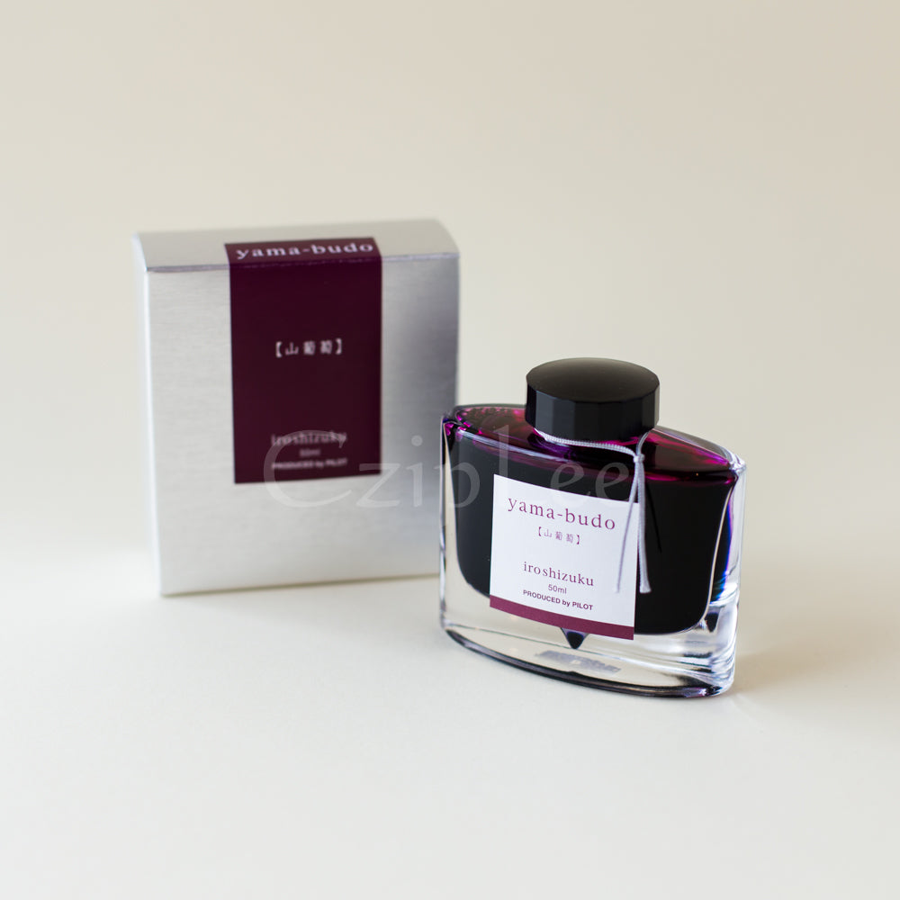 PILOT Iroshizuku Fountain Pen Ink 50ml Yama-Broadudo