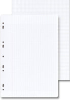 CLAIREFONTAINE Folder of 100 Single Sheets 21x29.7cm 5x5 Sq