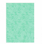 Buffalo Card 160g A4 100s 10 GY