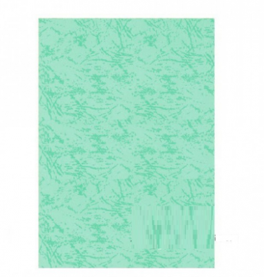 Buffalo Card 160g A4 100s 10 GY