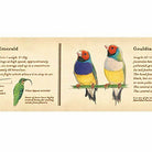 MT Ex Encyclopedia / Bird 30mm