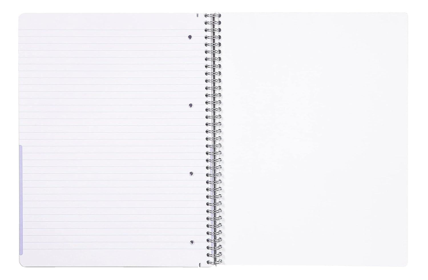 CLAIREFONTAINE Duo Book A4+ 22.5x29.7cm 40s 5x5 Sq+Lined