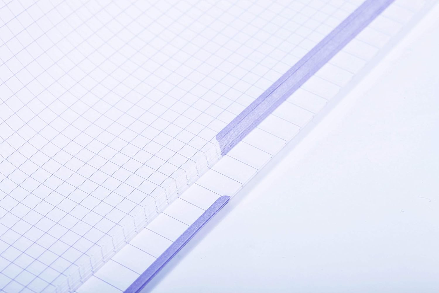 CLAIREFONTAINE Duo Book A4+ 22.5x29.7cm 40s 5x5 Sq+Lined