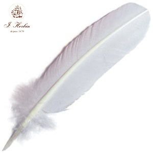 JACQUES HERBIN Goose Quill 28cm White Default Title