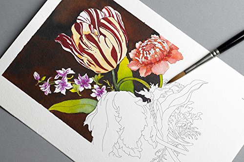 PEPIN Postcard Colouring Book Floral Still Life Default Title