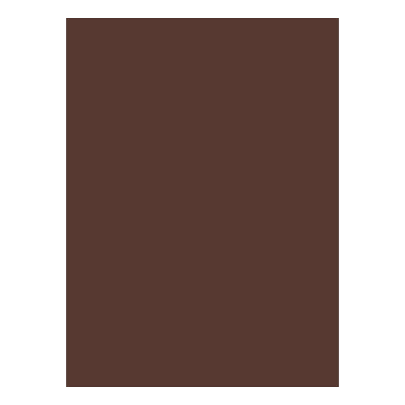 BIOTOPE 244gsm D12 reddish brown 21"X15.5" Default Title