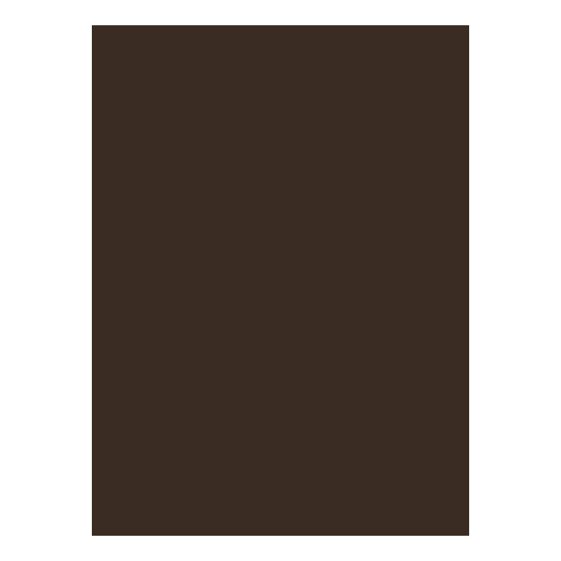 BIOTOPE 244gsm F15 dark brown 21"X15.5" Default Title