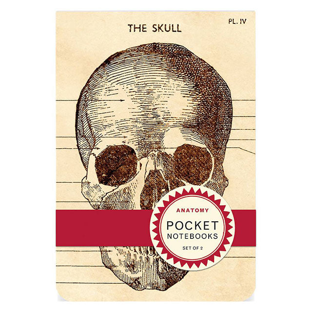CAVALLINI & CO 2P Notebooks-Anatomy – CzipLee Retail
