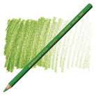 CARAN D'ACHE Supracolor 3888-225 Moss Green Default Title