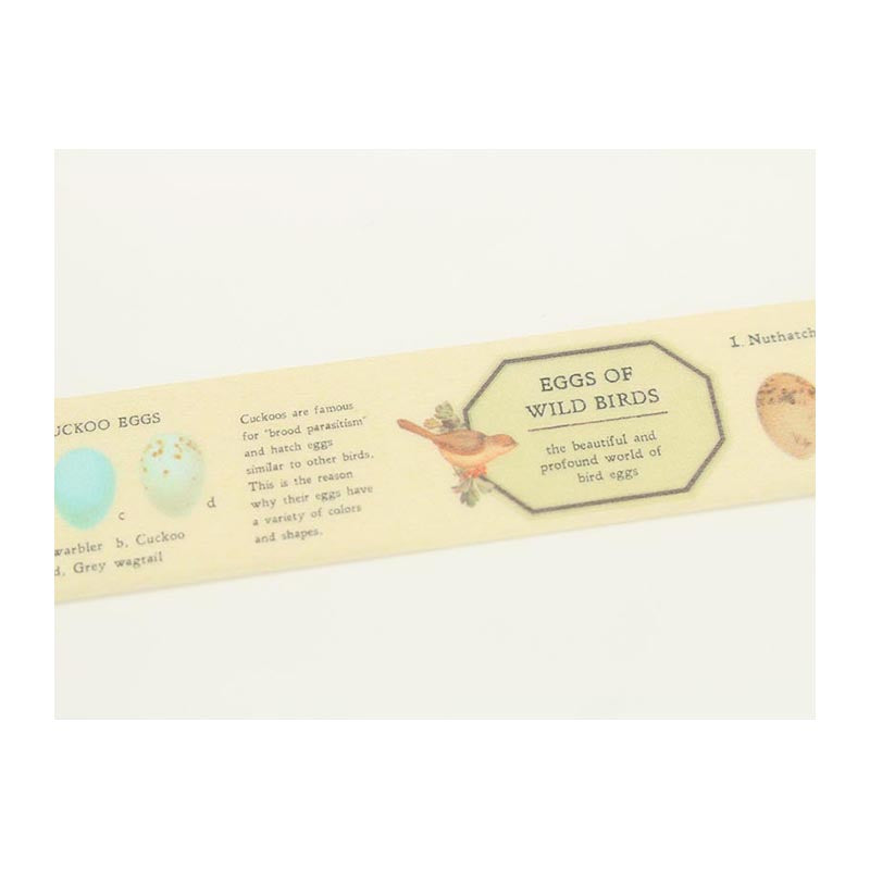 MT Ex Bird Egg 21mm