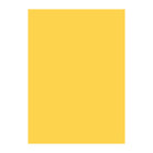 NT RASHA 151gsm gold 43"x31"/1092x788mm Default Title