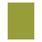 NT RASHA 151gsm olive 43"x31"/1092x788mm Default Title