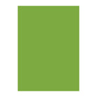 NT RASHA 116gsm highland green 43"x31"/1092x788mm Default Title