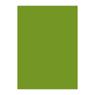 NT RASHA 116gsm peridot 43"x31"/1092x788mm Default Title