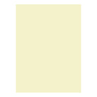 BIOTOPE 244gsm A1 cotton white 42"X31" Default Title