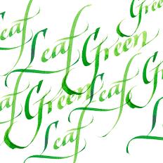 WINSOR & NEWTON Calligraphy Ink 30ml S1 341 Leaf Green