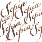 WINSOR & NEWTON Calligraphy Ink 30ml S1 609 Sepia