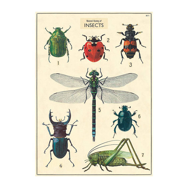 CAVALLINI & CO Wrap Sheet 20"X28" Insect Chart Default Title