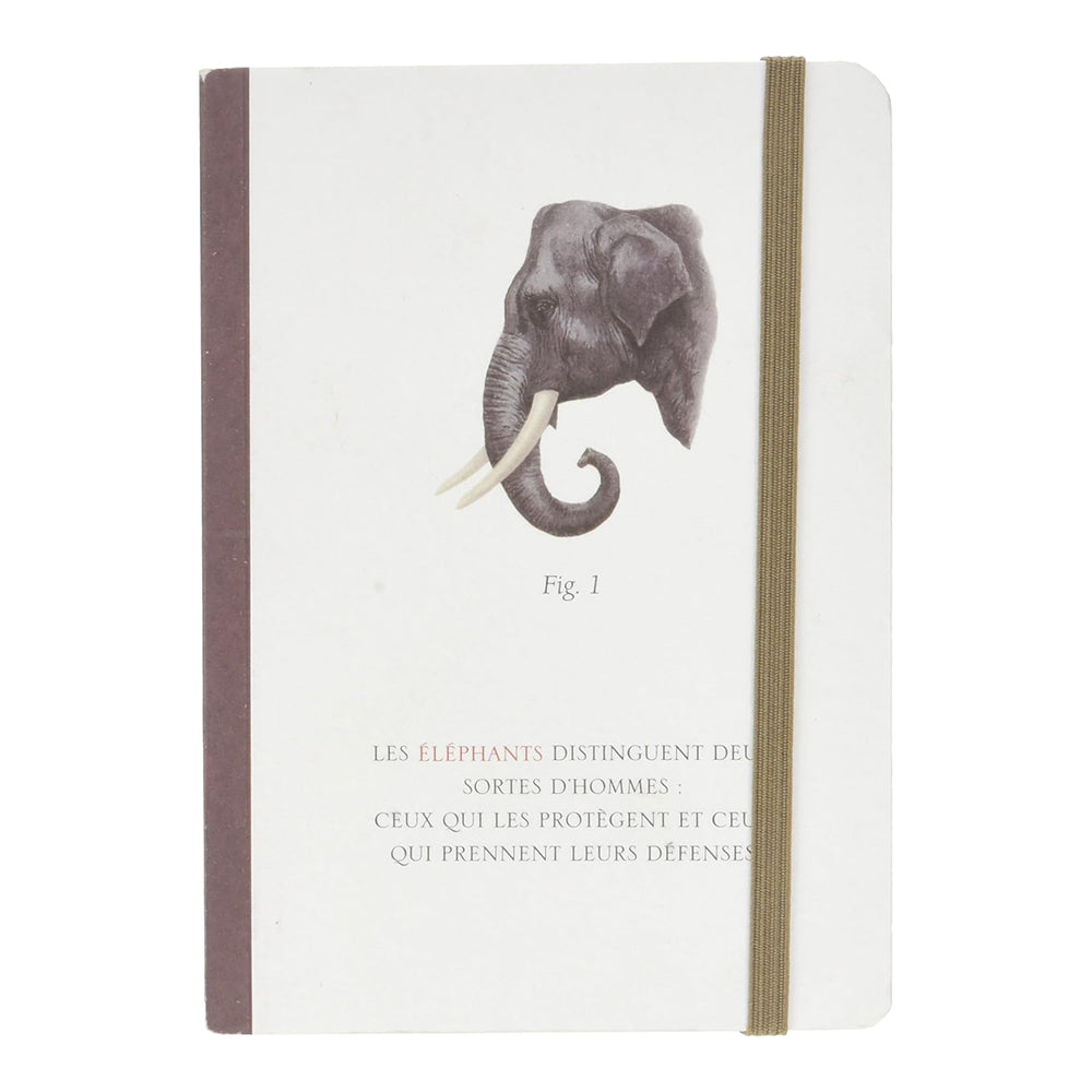 CLAIREFONTAINE Natural Histories Notebook A6 24s Jardin