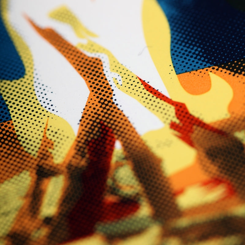 FIELD NOTES QE Campfire 3-Pack Default Title