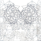 CLAIREFONTAINE Lalla Correspondence Cards 140x140mm 5s Assorted