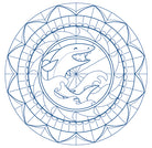 AVM Graffy Pop MANDALA-Boy Default Title