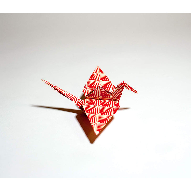 PEPIN Origami Book Japanese Patterns