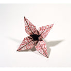 PEPIN Origami Book Chinese Patterns