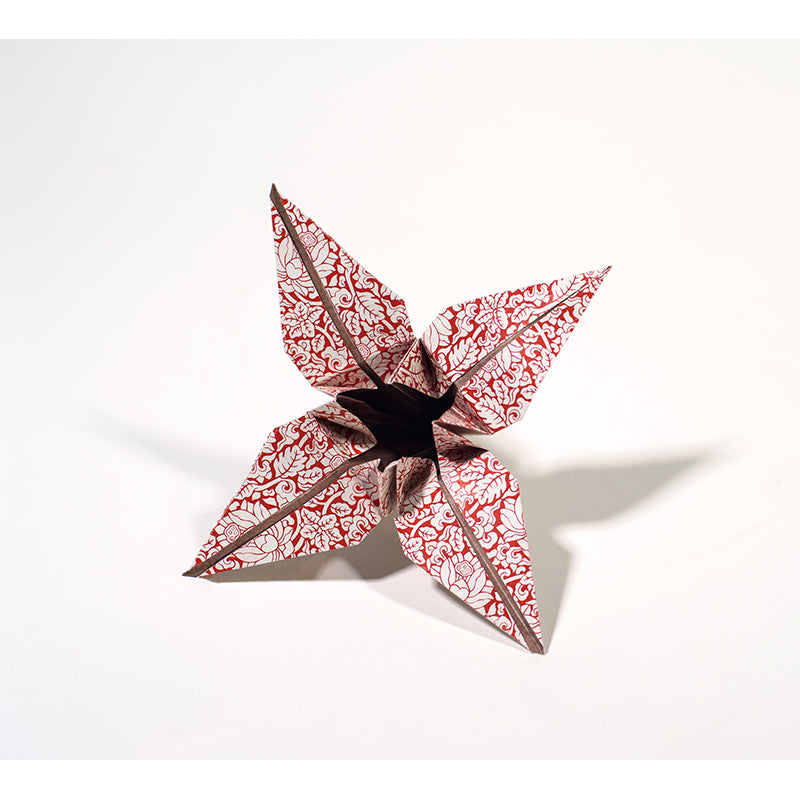 PEPIN Origami Book Chinese Patterns