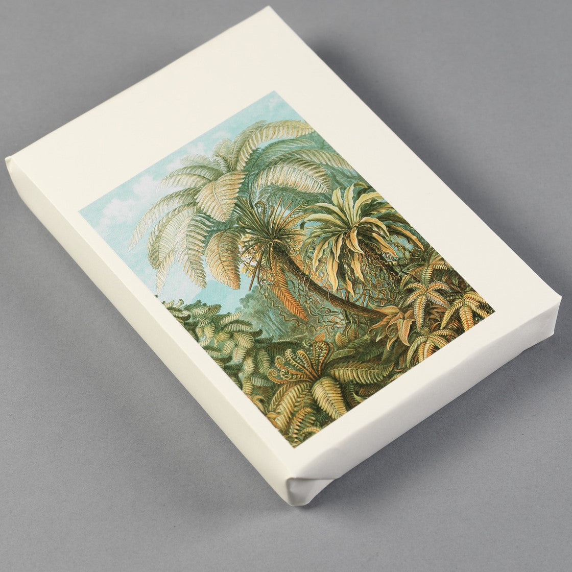 PEPIN Label & Sticker Book Art Forms in Nature