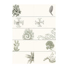 PEPIN Label & Sticker Book Art Forms in Nature