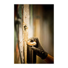 MONTANA Black 400ml 7070 Rhino