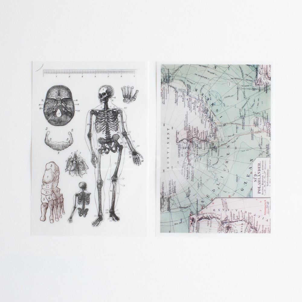 MU Print-On Sticker 2s 016-Archaeology