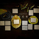 Chamil Garden Rubber Stamp-Piece (MTS-CH176)